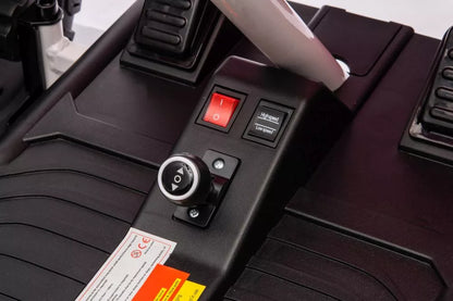 Akumuliatorinis visureigis Buggy A8812 rožinis 24V